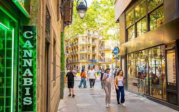 A Cannabis Club You Don’t Have to Plan Your Whole Evening Around Sol Club Madrid